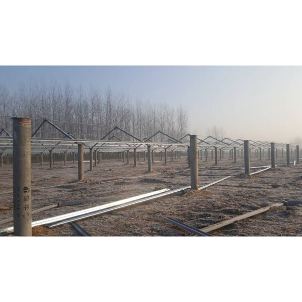 Agricultural photovoltaics - Image 2
