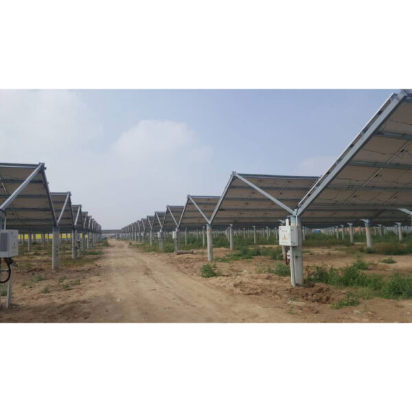 Agricultural photovoltaics - Image 4