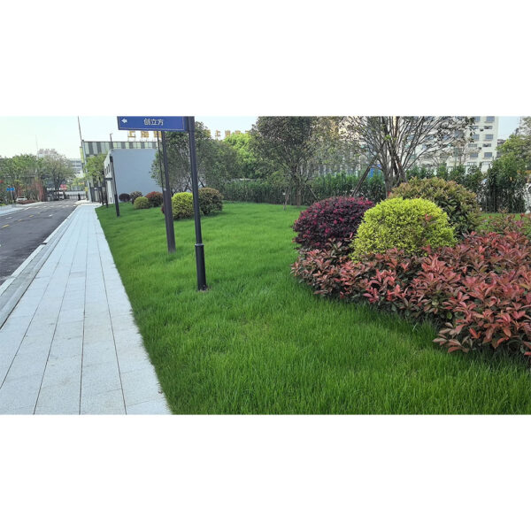 Shanghai Zhili industrial park - 图片 4